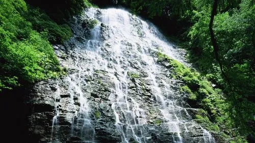 高效智慧独特